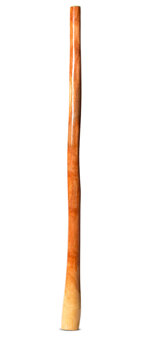 Ironbark Didgeridoo (IB264)